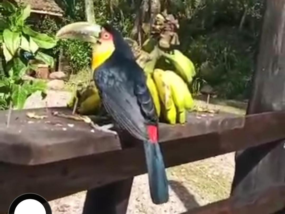 Chale Espelhado No Itaimbezinho Villa Praia Grande  Buitenkant foto
